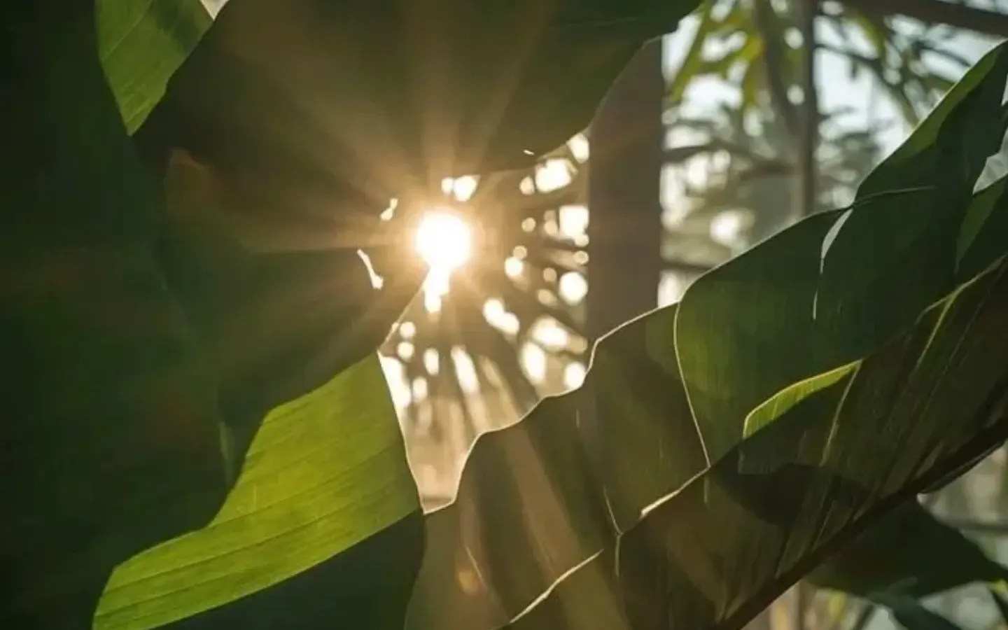 7 Signs You May Be Overpaying for a 3BHK...