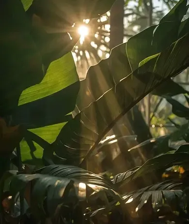 7 Signs You May Be Overpaying for a 3BHK in Whitefield, Even If It Feels Even If It Feels