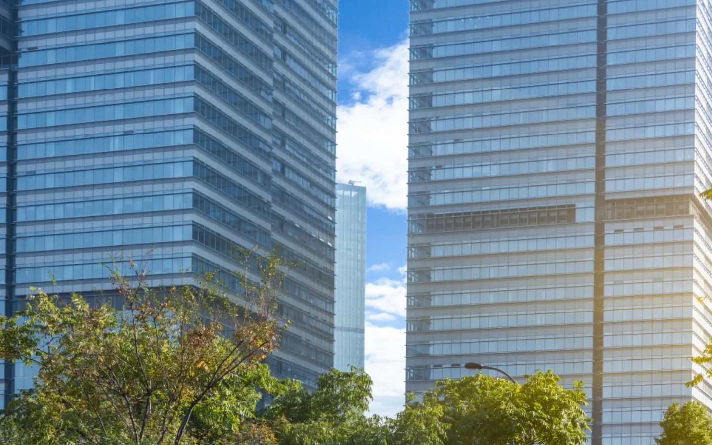 Beyond Luxury and EMI: How Intelligent B...