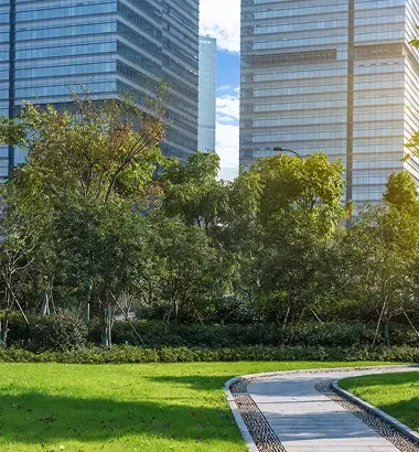 Beyond Luxury and EMI: How Intelligent Buyers Think About Real Estate in East Bangalore